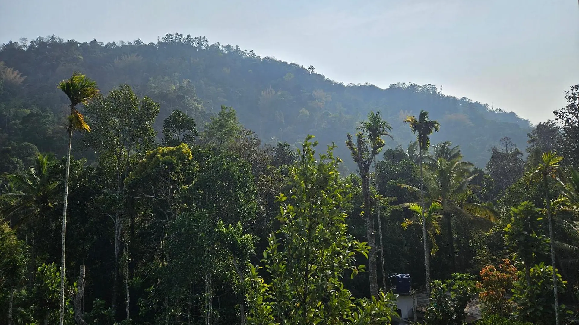 Holiday home Nutmeg Shades Munnar Villa Anachal