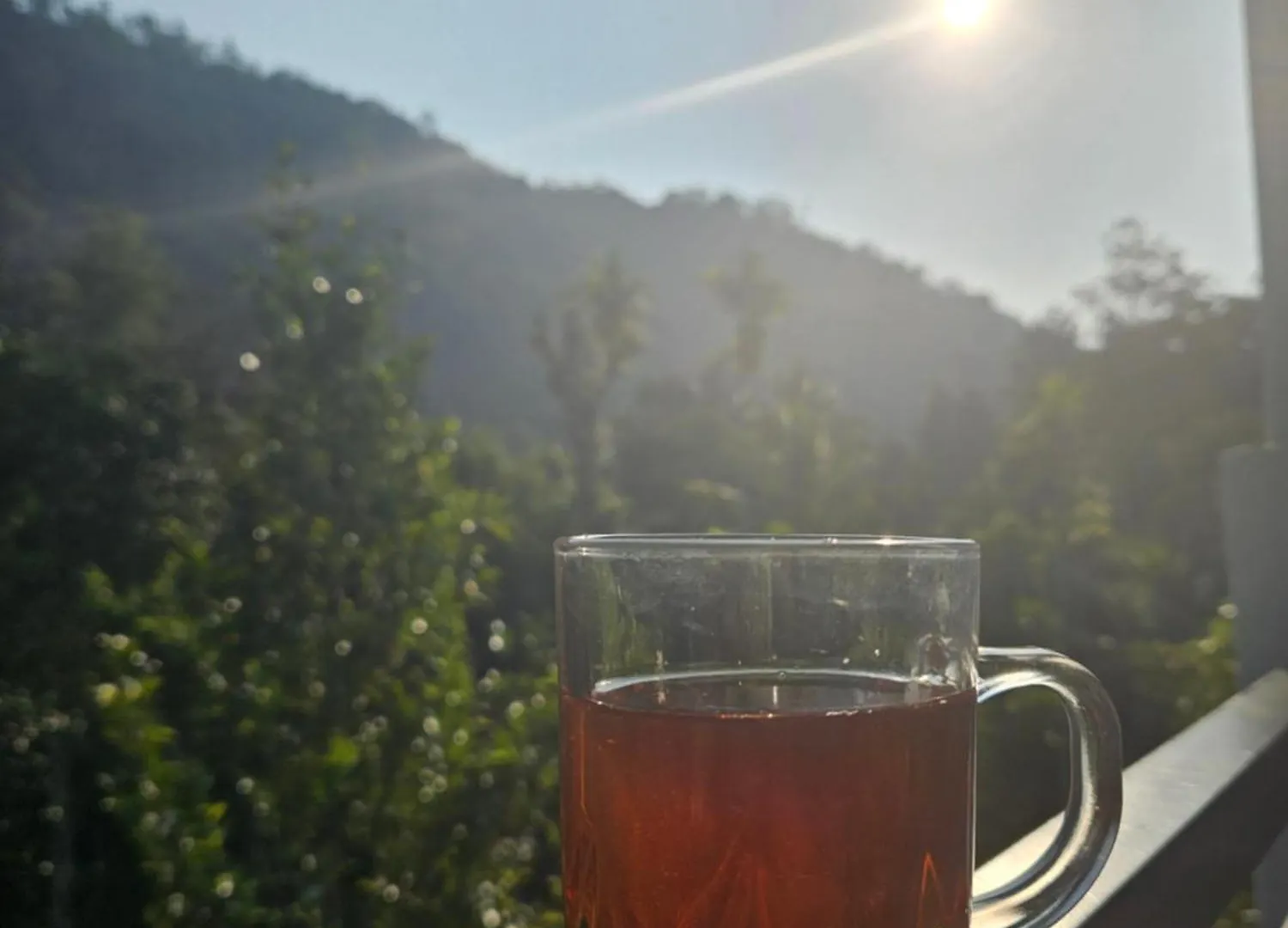 Nutmeg Shades Munnar Villa Anachal Holiday home
