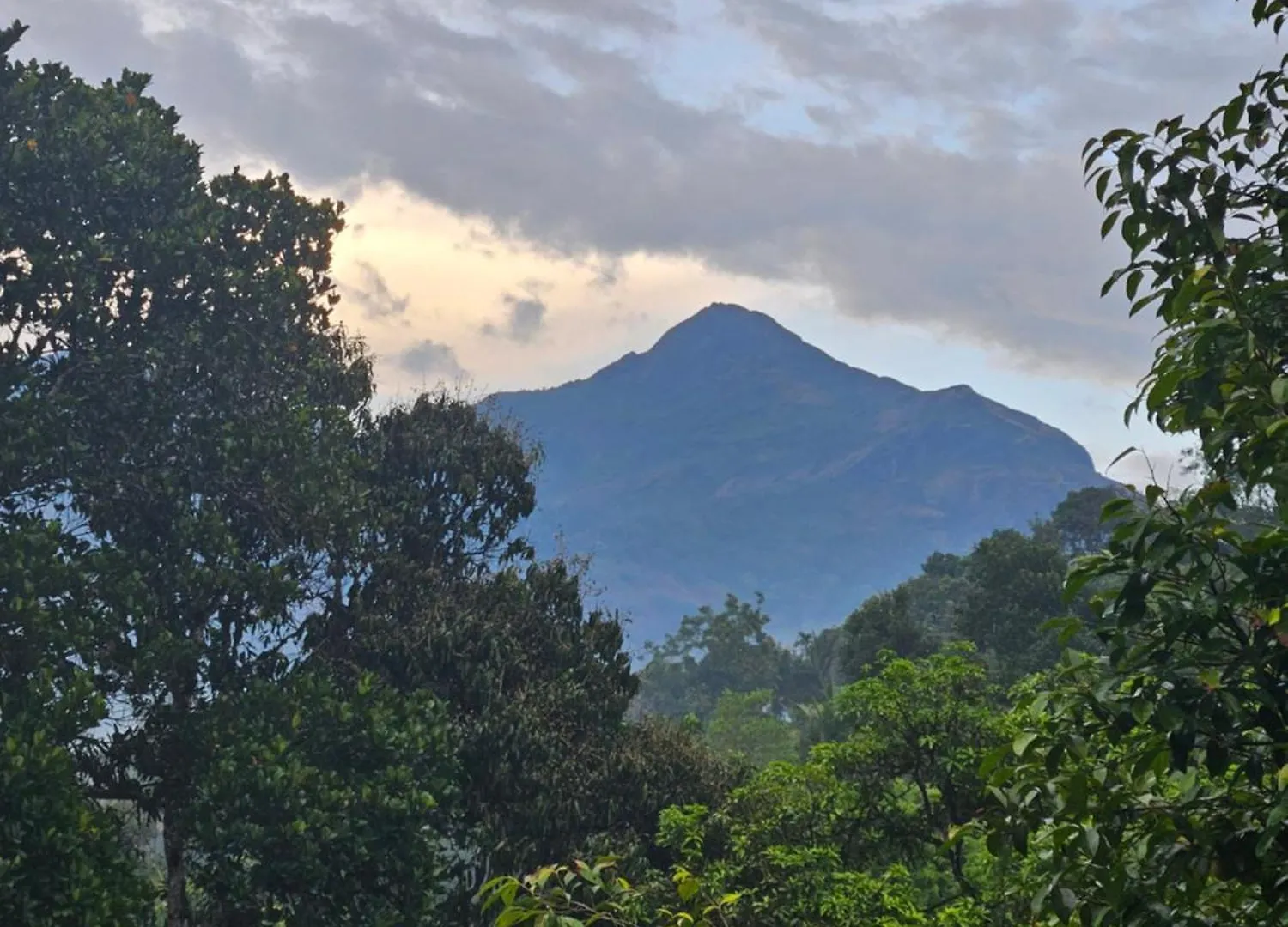 Nutmeg Shades Munnar Villa Anachal